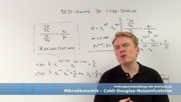 Die Mathematische Bestimmung Bei Einer Cobb Douglas Nutzenfunktion