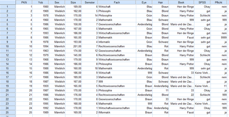 Datensatz 1