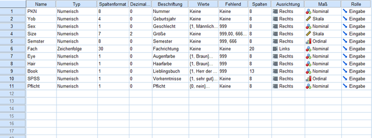 Datensatz 1 Variablen