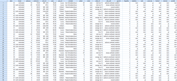 Datensatz: Demo.sav