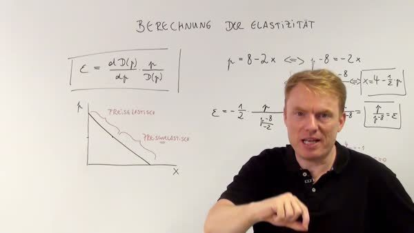 Berechnung Der Elastizitat Der Nachfrage Wiwiweb De