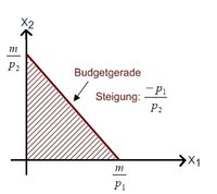 Die Budgetgerade Mikrookonomie Wiwiweb De
