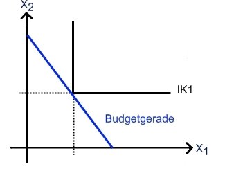 Optimale Entscheidung bei perfekten Komplementen