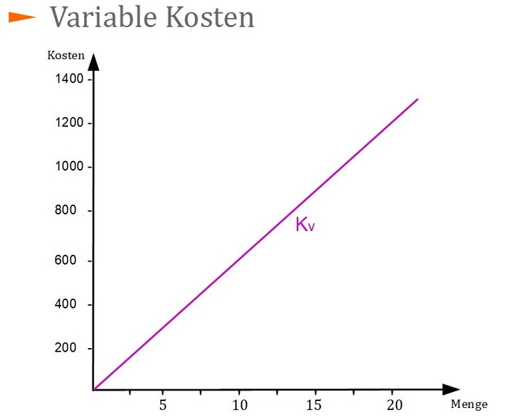 Variable Kosten Variable Kosten