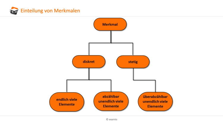 Einteilung von Merkmalen